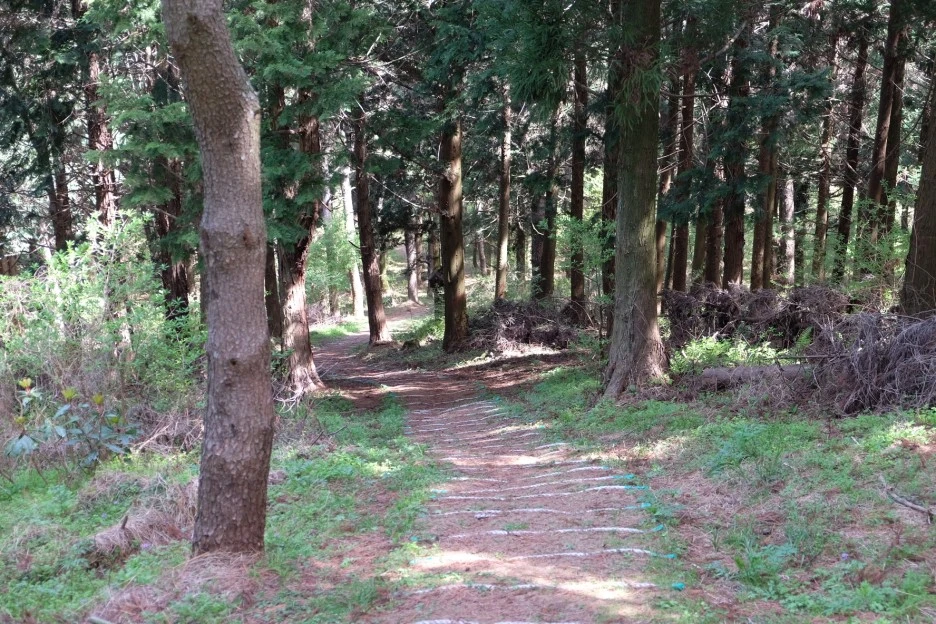 008DB30E-D474-4FEA-BD9B-8A3670E5BAD4-727-000021F06F3BEC59.JPG?type=w1