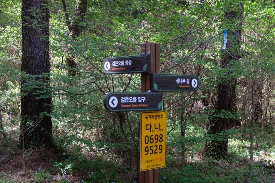 6EEDA031-704B-4CDC-B070-08B26EB3DA6B-727-000021F0F0BB34D1.JPG?type=w1