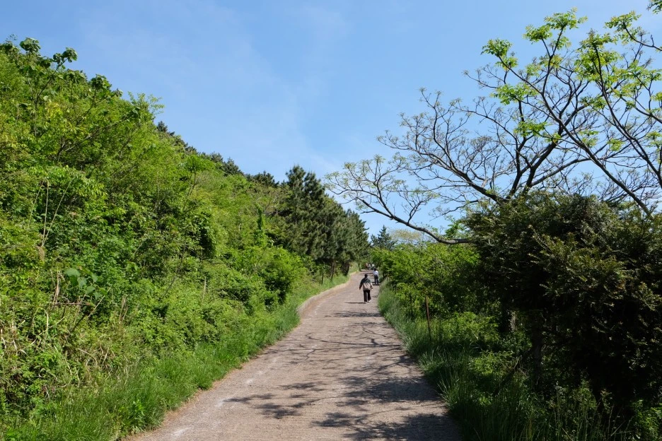 BB0569AC-E7E9-4530-B027-D62D6E540F36-13156-000002352ABEC902.JPG?type=w1