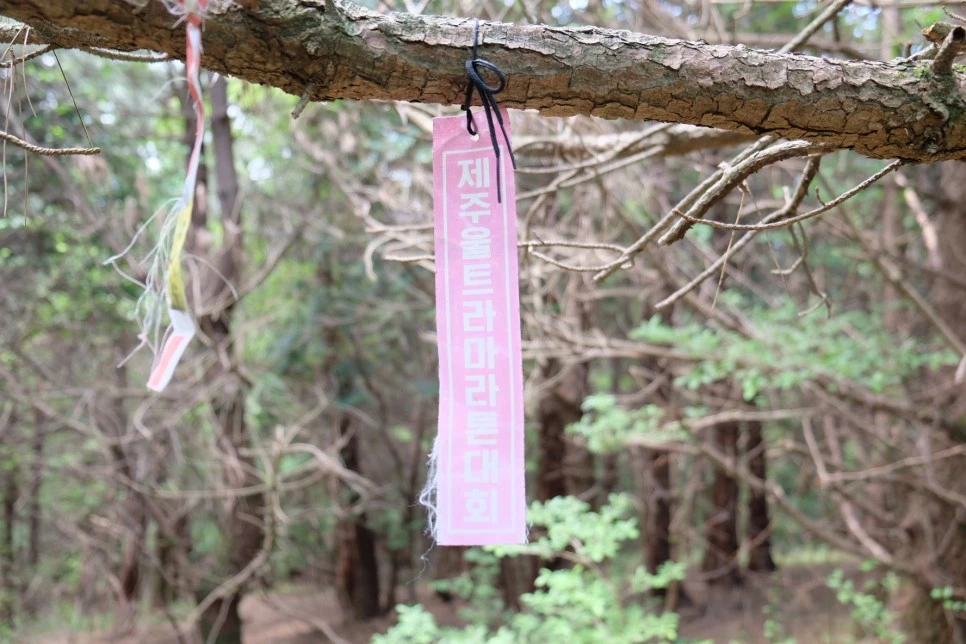 %EB%B0%A9%EC%84%A0%EB%AC%B8%EA%B3%84%EA%B3%A1_%EC%97%B4%EC%95%88%EC%A7%80_%EC%98%A4%EB%A6%84_%EC%A0%95%EC%83%81_%EA%B0%80%EB%8A%94%EA%B8%B8_9.JPG?type=w966