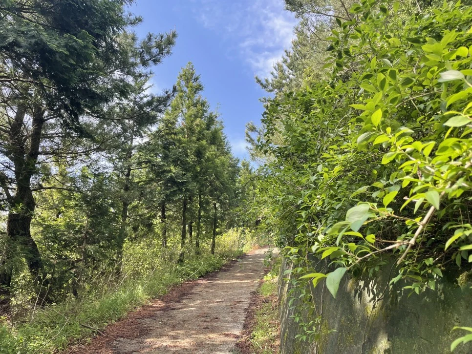 %EB%85%B8%EB%A3%A8%EC%86%90%EC%9D%B4_%EC%98%A4%EB%A5%B4%EB%A7%89%EA%B8%B83.jpg?type=w966