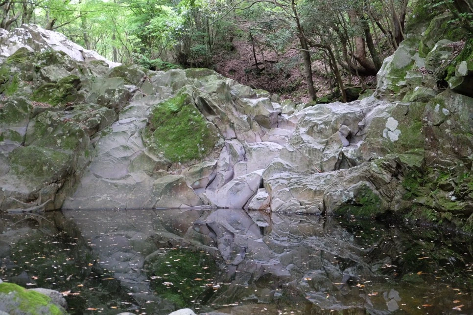 %EC%84%B8%EB%AF%B8%EC%96%91_%EC%98%A4%EB%A6%84_%EB%85%B8%EB%A3%A8%EB%AC%BC_1.JPG?type=w966