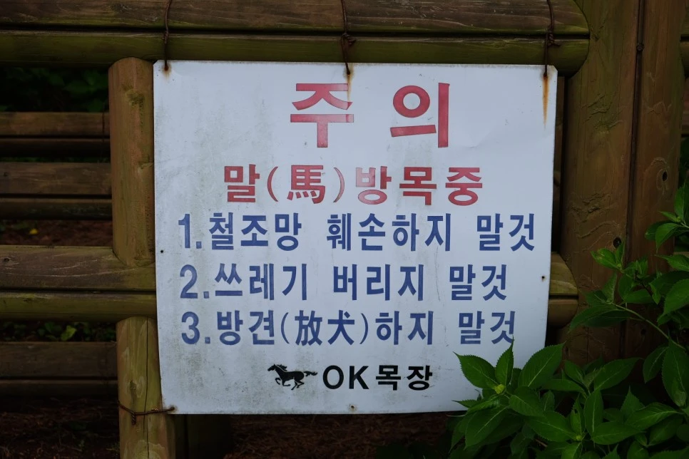 %EC%84%B8%EB%AF%B8%EC%96%91_%EC%98%A4%EB%A6%84_%EA%B3%A0%EC%82%AC%EB%A6%AC_%ED%8F%89%EC%9B%90_%EC%95%88%EB%82%B4%EB%AC%B8.JPG?type=w966