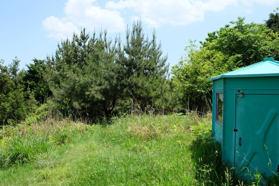 %EB%B0%A9%EC%84%A0%EB%AC%B8%EA%B3%84%EA%B3%A1_%EC%97%B4%EC%95%88%EC%A7%80_%EC%98%A4%EB%A6%84_%EC%A0%95%EC%83%81_4.JPG?type=w966