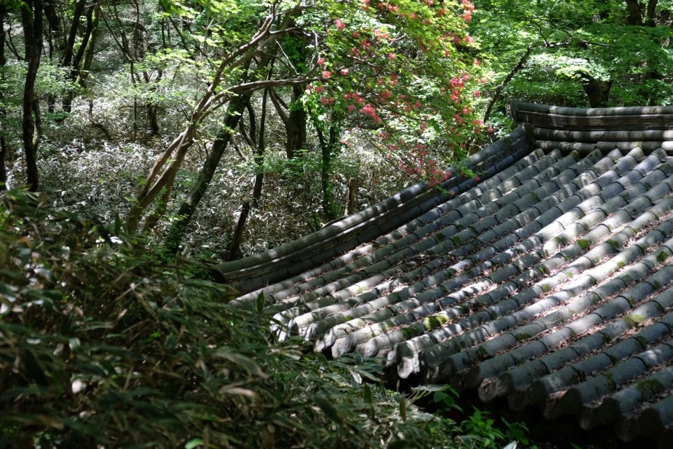 %EC%B2%9C%EC%99%95%EC%82%AC_%EA%B8%B0%EC%99%80.JPG?type=w966