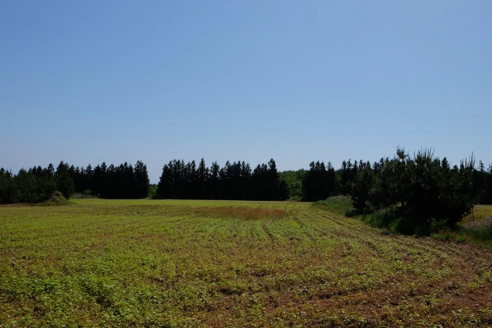 %EB%B0%A9%EC%84%A0%EB%AC%B8%EA%B3%84%EA%B3%A1_%EC%97%B4%EC%95%88%EC%A7%80_%EC%98%A4%EB%A6%84_%EA%B0%80%EB%8A%94%EA%B8%B8_11.JPG?type=w966