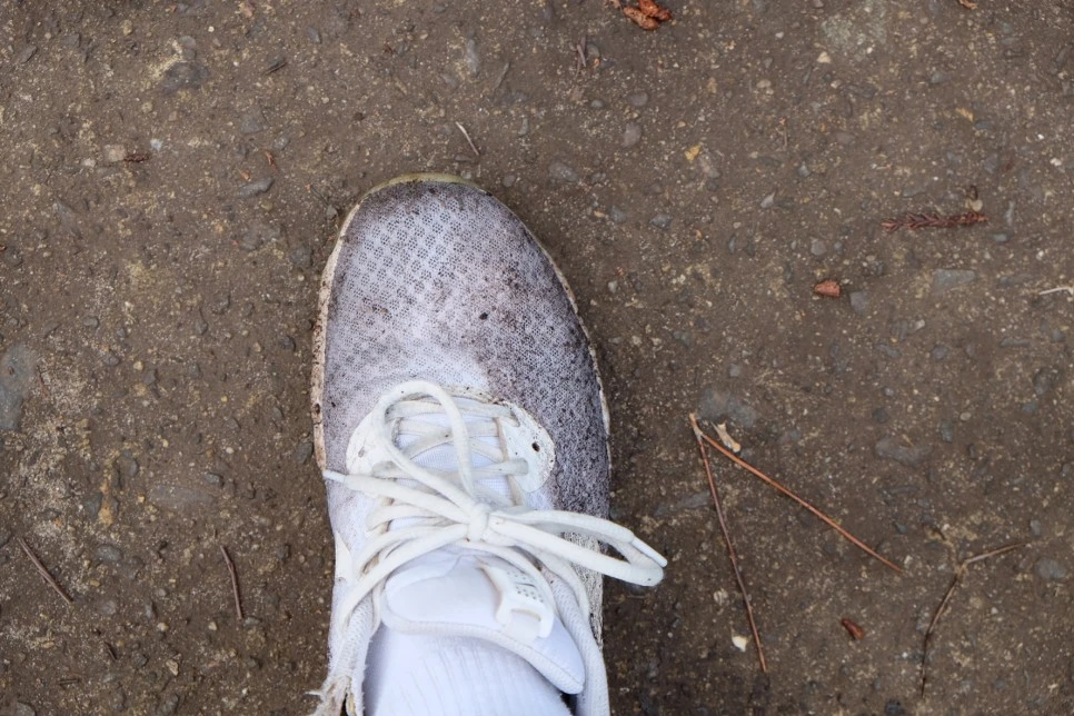 %EB%85%B8%EB%A3%A8%EC%86%90%EC%9D%B4_%EC%9A%B4%EB%8F%99%ED%99%94.JPG?type=w966