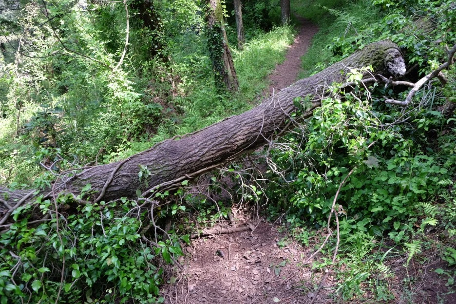 1C318BF9-11EE-4A10-A138-B148D83EC15D-23874-000005369908F8D5.JPG?type=w1