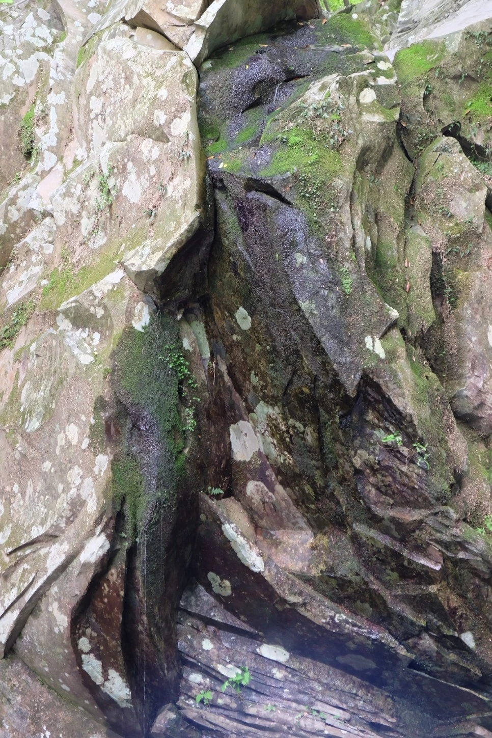 E1CE6969-DEF3-4D0D-BAC6-A8105C441194-251-0000000232D39EF7.JPG?type=w966