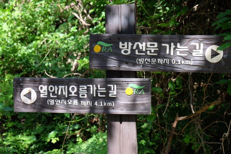 %EB%B0%A9%EC%84%A0%EB%AC%B8%EA%B3%84%EA%B3%A1_%EC%97%B4%EC%95%88%EC%A7%80_%EC%98%A4%EB%A6%84_%EC%9D%B4%EC%A0%95%ED%91%9C_1.JPG?type=w966