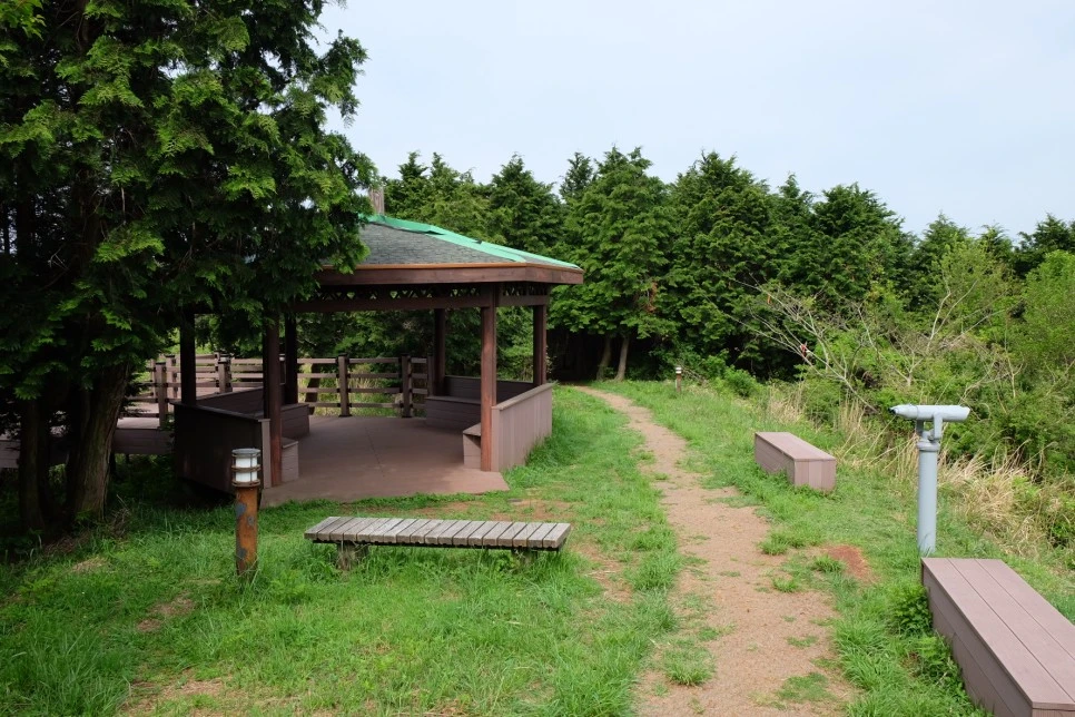 %EC%84%B8%EB%AF%B8%EC%96%91_%EC%98%A4%EB%A6%84_%EC%A0%95%EC%83%81_%EC%A0%95%EC%9E%90.JPG?type=w966