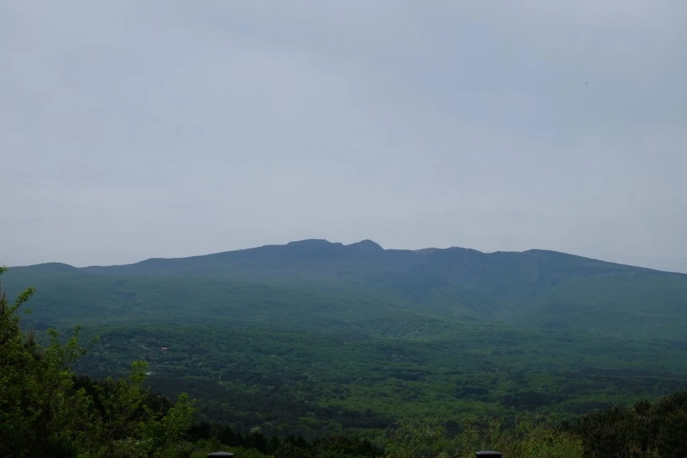 %EC%84%B8%EB%AF%B8%EC%96%91_%EC%98%A4%EB%A6%84_%ED%95%9C%EB%9D%BC%EC%82%B0_1_.JPG?type=w966