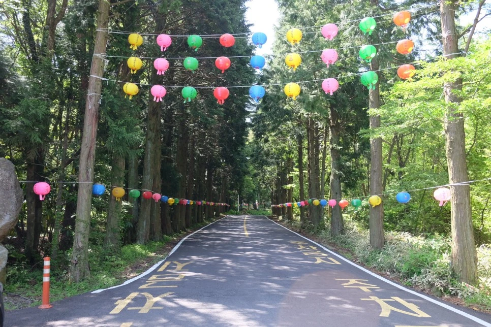 %EC%B2%9C%EC%99%95%EC%82%AC_%EC%B4%88%EC%9E%85.JPG?type=w966