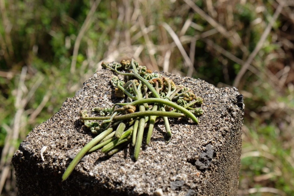 5ABD07DF-3AC6-4030-9324-A3D2BD655510-727-000021F07E13551C.JPG?type=w1