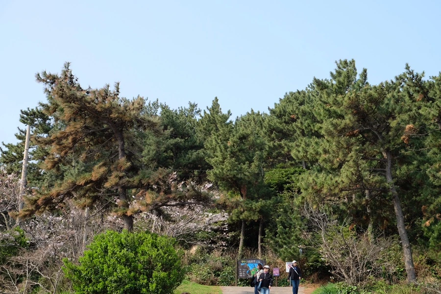 27CAE4BE-01B4-4289-9922-64A4A800786A-29599-000005DBB57F1B6D.jpg?type=w1