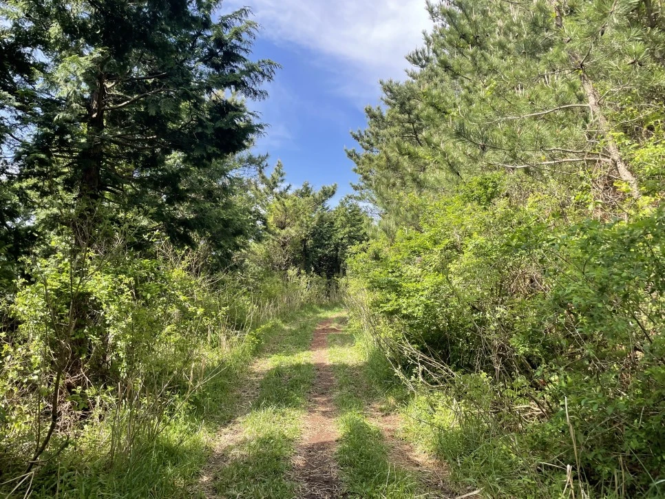 %EB%85%B8%EB%A3%A8%EC%86%90%EC%9D%B4_%EC%98%A4%EB%A5%B4%EB%A7%89%EA%B8%B84.jpg?type=w966