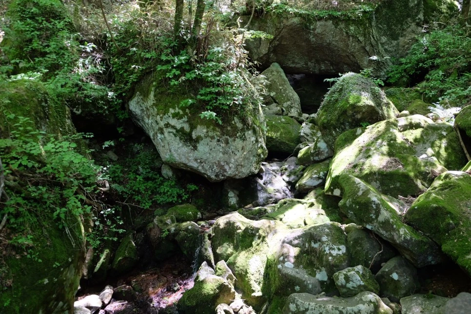 %EC%B2%9C%EC%99%95%EC%82%AC_%EA%B3%84%EA%B3%A1_1.JPG?type=w966