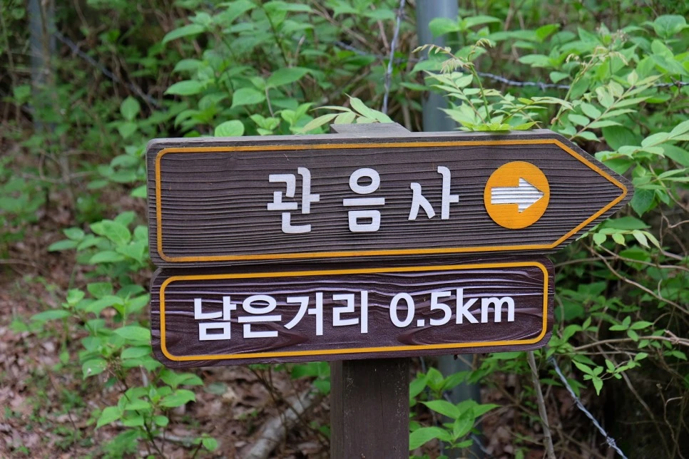 %EA%B4%80%EC%9D%8C%EC%82%AC_%EB%A7%88%EC%A7%80%EB%A7%89_%EC%9D%B4%EC%A0%95%ED%91%9C.JPG?type=w966