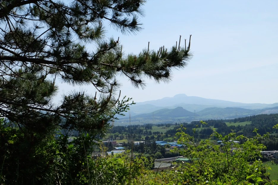 6CA7BF8E-EE43-41B1-BB66-7EB5BFED2FC1-13156-000002353D1D47E5.JPG?type=w1