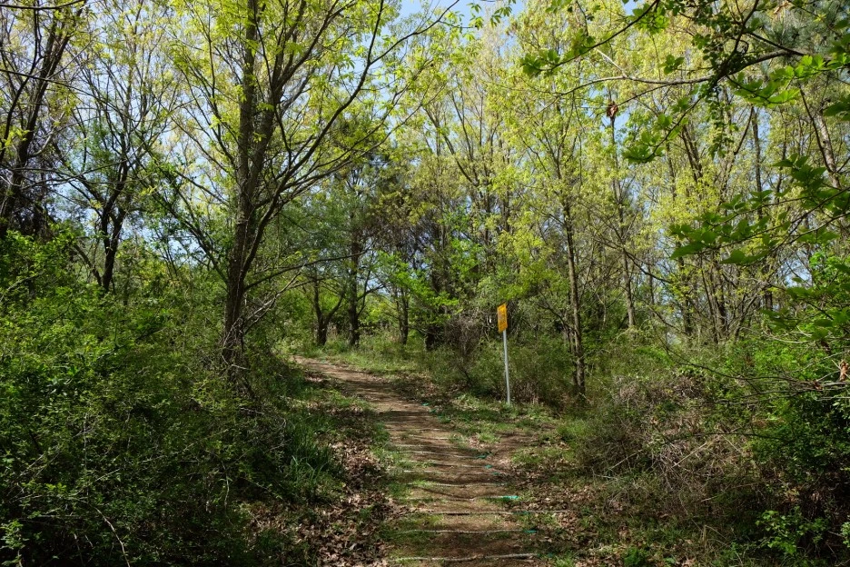 E5A484F6-E830-45AA-86FB-5ECE9E392443-727-000021F0E30E19F2.JPG?type=w1