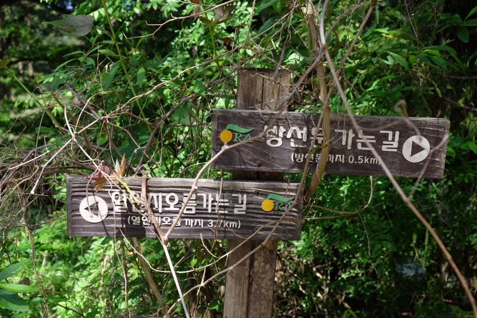 %EB%B0%A9%EC%84%A0%EB%AC%B8%EA%B3%84%EA%B3%A1_%EC%97%B4%EC%95%88%EC%A7%80_%EC%98%A4%EB%A6%84_%EC%9D%B4%EC%A0%95%ED%91%9C_2.JPG?type=w966