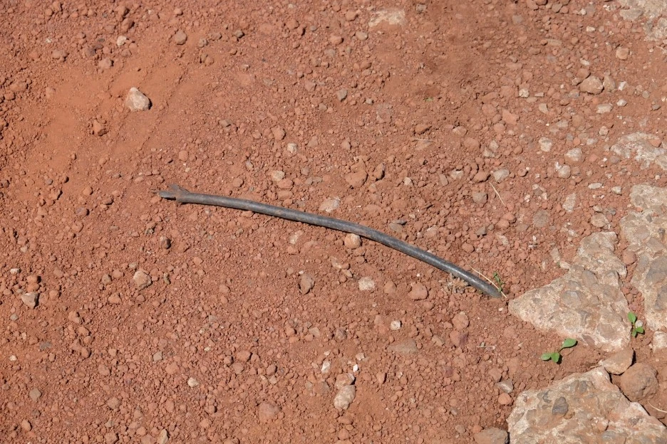 E3E20939-894B-4895-A287-D5CDABE25DF2-13156-00000235964C0B1D.JPG?type=w1