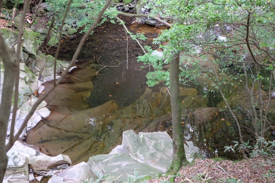 %EC%84%B8%EB%AF%B8%EC%96%91_%EC%98%A4%EB%A6%84_%EB%85%B8%EB%A3%A8%EB%AC%BC_2.JPG?type=w966