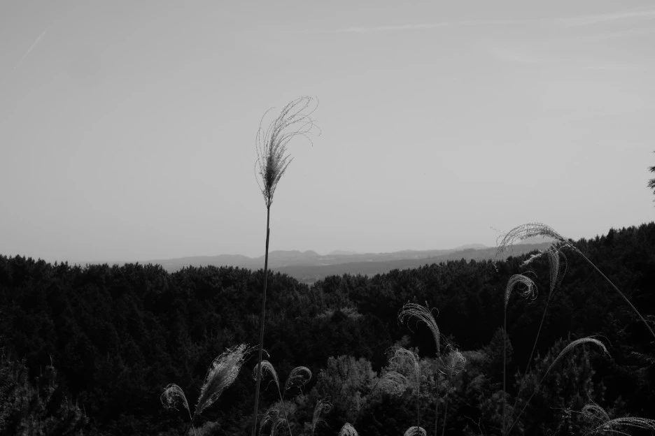 83D7DB68-7F52-4799-85C5-045F96F965E7-727-000021F0D19847D2.JPG?type=w1