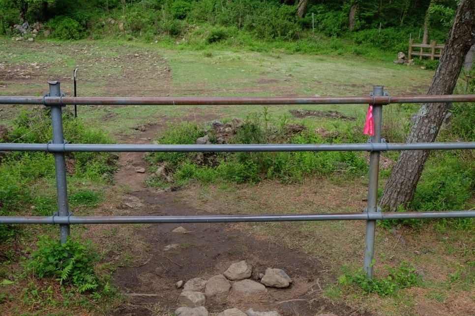 %EC%84%B8%EB%AF%B8%EC%96%91_%EC%98%A4%EB%A6%84_%EA%B3%A0%EC%82%AC%EB%A6%AC_%ED%8F%89%EC%9B%90_%EC%9E%85%EA%B5%AC.JPG?type=w966