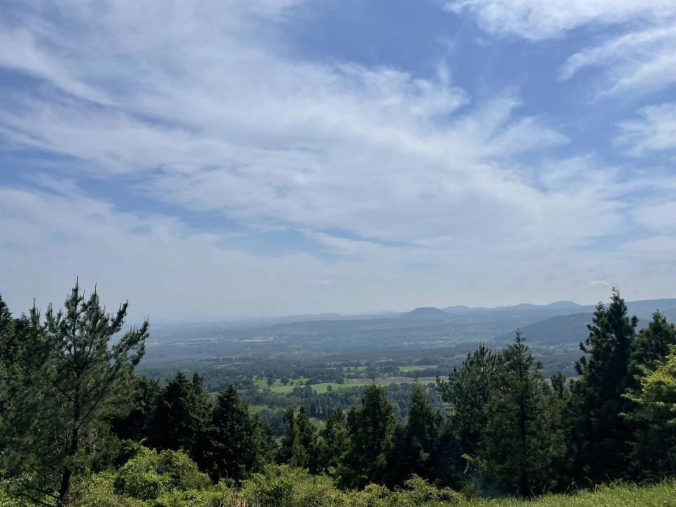 %EB%85%B8%EB%A3%A8%EC%86%90%EC%9D%B4_%ED%9E%88%EB%93%A0%EC%9E%A5%EC%86%A12.jpg?type=w966