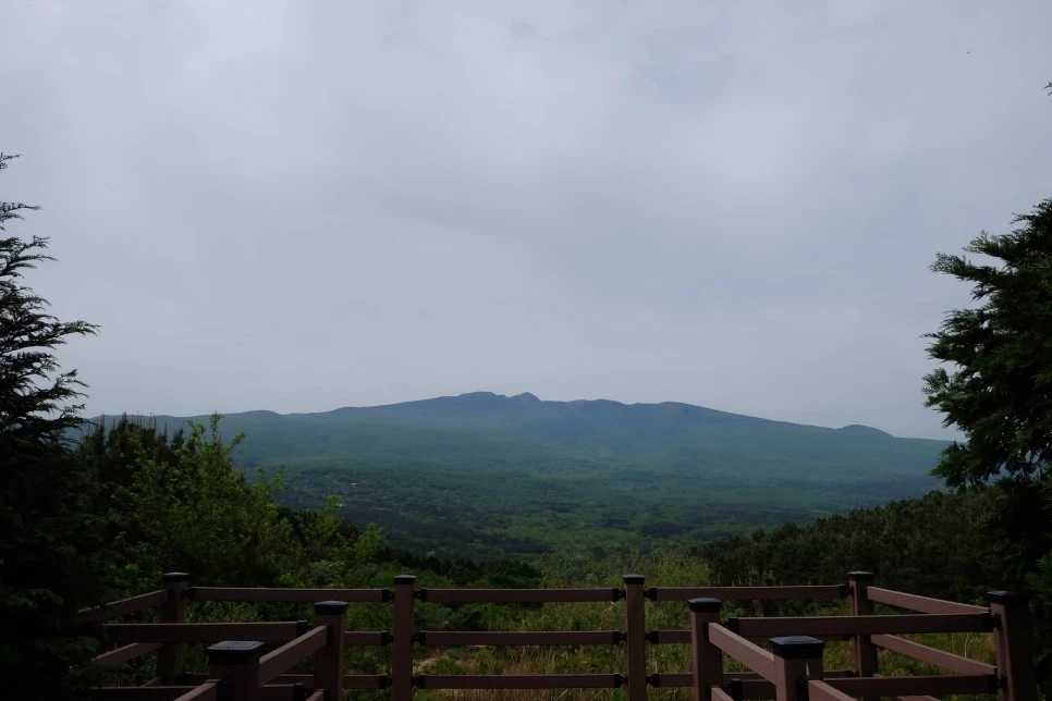 %EC%84%B8%EB%AF%B8%EC%96%91_%EC%98%A4%EB%A6%84_%ED%95%9C%EB%9D%BC%EC%82%B0_2.JPG?type=w966