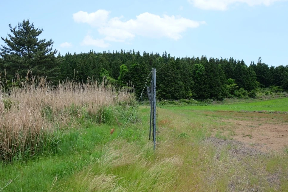 %EB%B0%A9%EC%84%A0%EB%AC%B8%EA%B3%84%EA%B3%A1_%EC%97%B4%EC%95%88%EC%A7%80_%EC%98%A4%EB%A6%84_%EC%A0%95%EC%83%81_%EA%B0%80%EB%8A%94%EA%B8%B8_1.JPG?type=w966