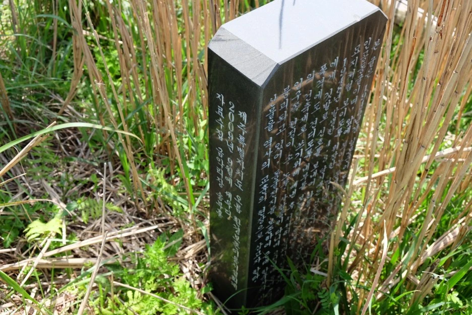 AE588168-9CF5-4103-AA1F-15A05BABAC07-13156-00000235A27F22D2.JPG?type=w1