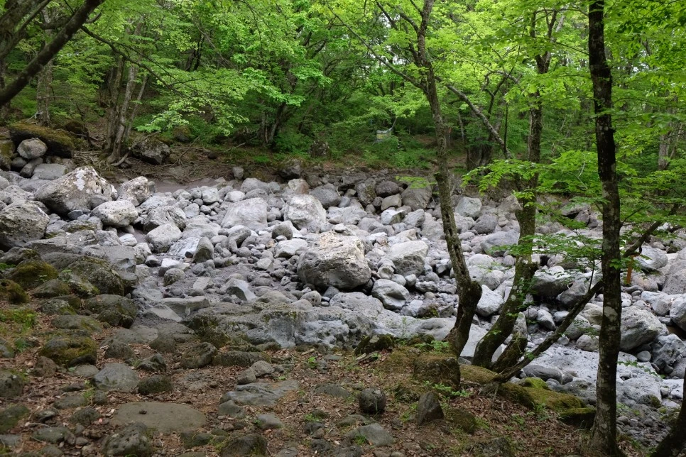 %EA%B4%80%EC%9D%8C%EC%82%AC_%EA%B3%84%EA%B3%A1_%EA%B1%B4%EB%84%90%EB%AA%A9_1.JPG?type=w966