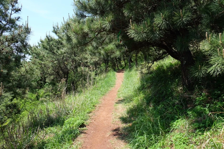 D12DD295-3C9A-4FA1-BE00-EDD1FCD9E54D-23874-0000053688E2D413.JPG?type=w1