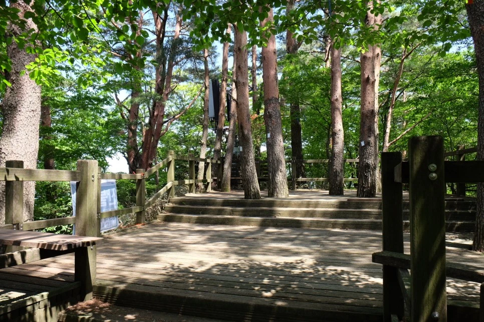 %EA%B3%A8%EB%A8%B8%EB%A6%AC%EC%98%A4%EB%A6%84_%EC%A0%95%EC%83%81.JPG?type=w966