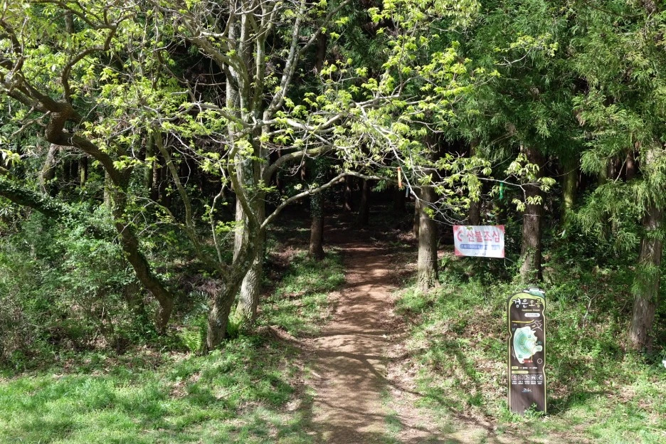 A447FE03-BEFF-4DF1-BBDB-5EC748356C6A-727-000021F10D9FC4C9.JPG?type=w1