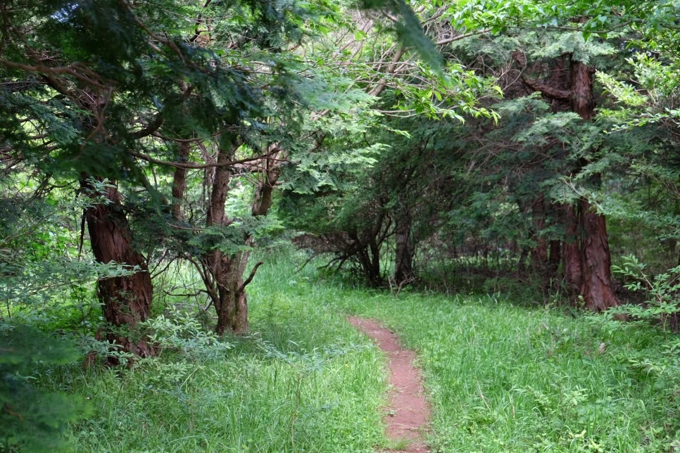 %EB%B0%A9%EC%84%A0%EB%AC%B8%EA%B3%84%EA%B3%A1_%EC%97%B4%EC%95%88%EC%A7%80_%EC%98%A4%EB%A6%84_%EC%A0%95%EC%83%81_%EA%B0%80%EB%8A%94%EA%B8%B8_11.JPG?type=w966