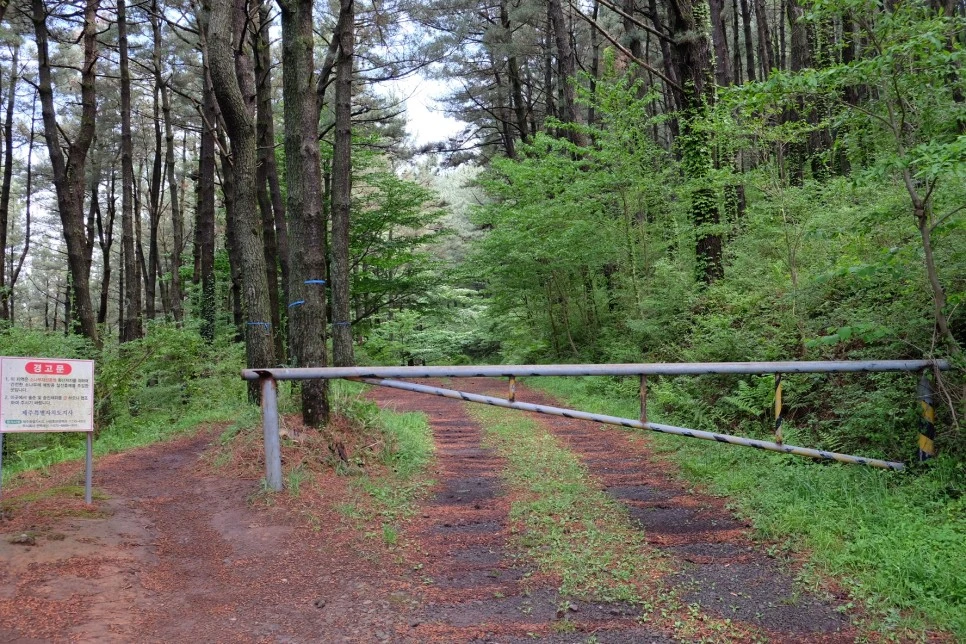 %EB%85%B8%EB%A3%A8%EC%86%90%EC%9D%B4_%EC%88%B2%EA%B8%B8_%EC%B6%9C%EC%9E%85%EA%B8%88%EC%A7%80.JPG?type=w966