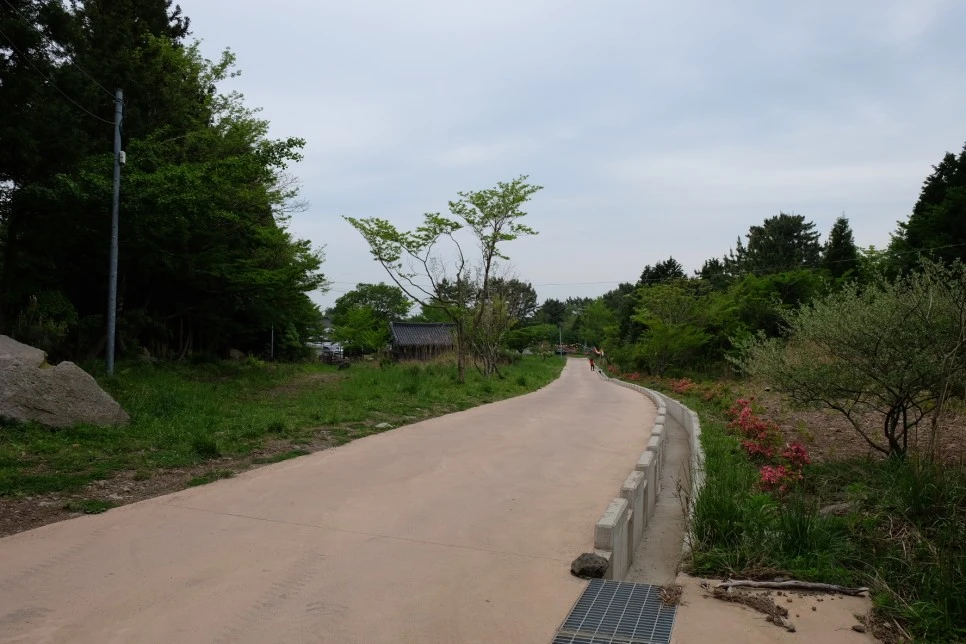 %EC%84%B8%EB%AF%B8%EC%96%91_%EC%98%A4%EB%A6%84_%EA%B4%80%EC%9D%8C%EC%82%AC_%EA%B0%80%EB%8A%94%EA%B8%B8_2.JPG?type=w966