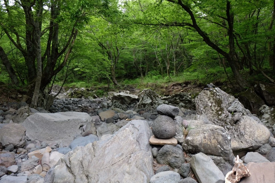 %EC%84%B8%EB%AF%B8%EC%96%91_%EC%98%A4%EB%A6%84_%EC%B9%BC%EB%8B%A4%EB%A6%AC_%EA%B3%84%EA%B3%A1_3.JPG?type=w966