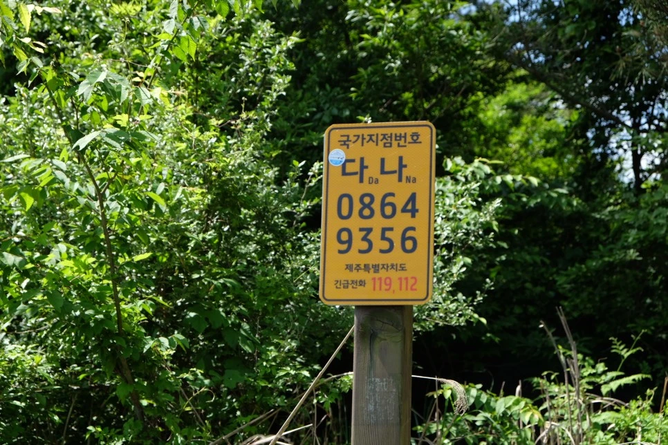 %EB%B0%A9%EC%84%A0%EB%AC%B8%EA%B3%84%EA%B3%A1_%EC%97%B4%EC%95%88%EC%A7%80_%EC%98%A4%EB%A6%84_%EC%9D%B4%EC%A0%95%ED%91%9C_9.JPG?type=w966