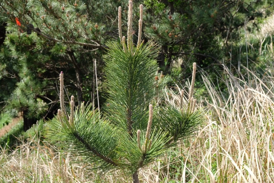 B2877AA1-63D2-4E12-AA57-4F0243FE4719-13156-00000235B372F41E.JPG?type=w1