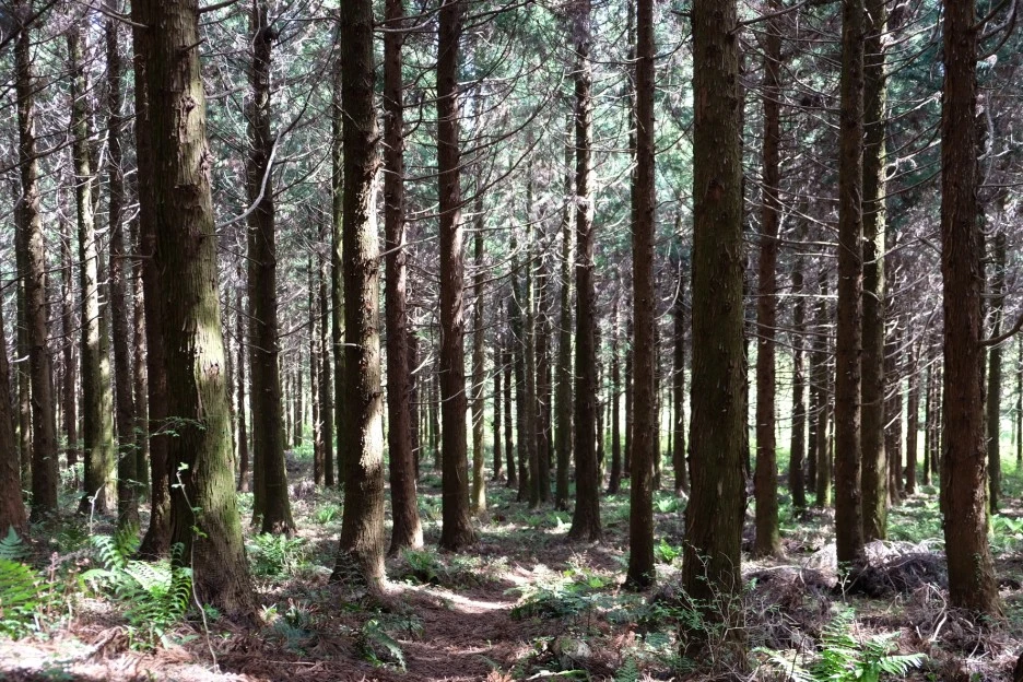 47CA4BF6-78DD-4DF8-9CE0-99250E255FF4-727-000021F0FC759456.JPG?type=w1