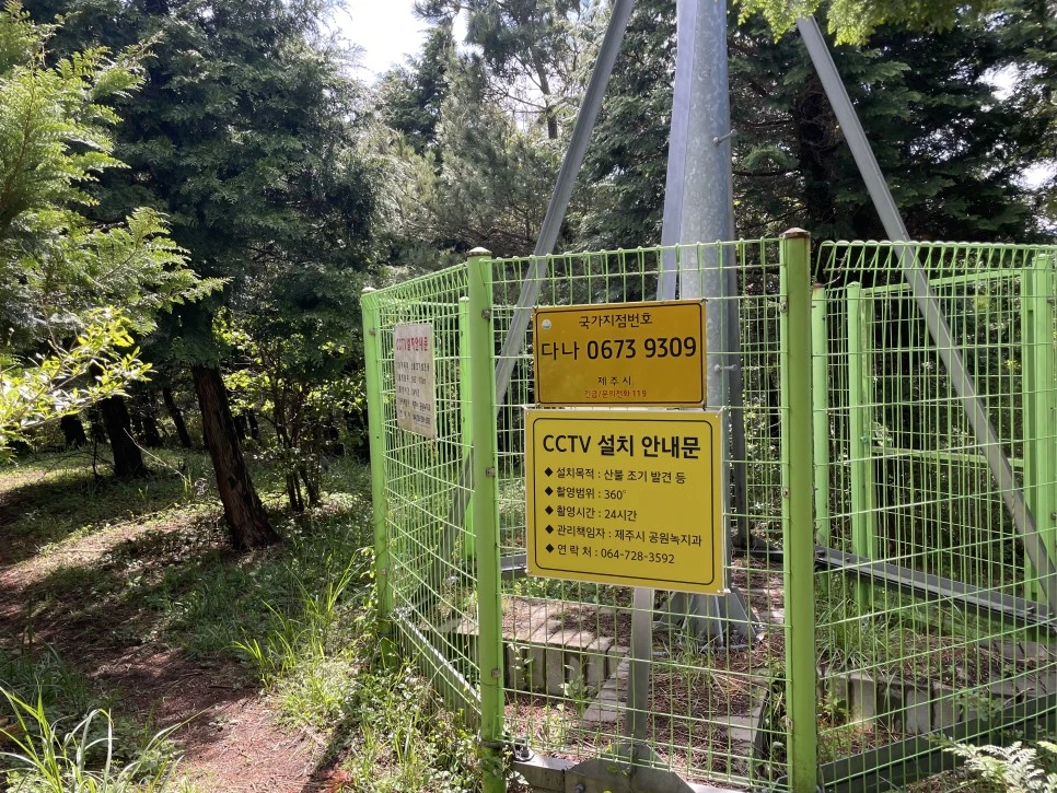 %EB%85%B8%EB%A3%A8%EC%86%90%EC%9D%B4_cctv.jpg?type=w966