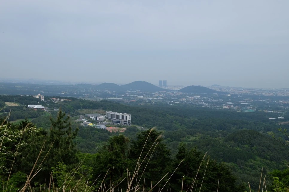 %EC%84%B8%EB%AF%B8%EC%96%91_%EC%98%A4%EB%A6%84_%EC%A0%95%EC%83%81_2.JPG?type=w966