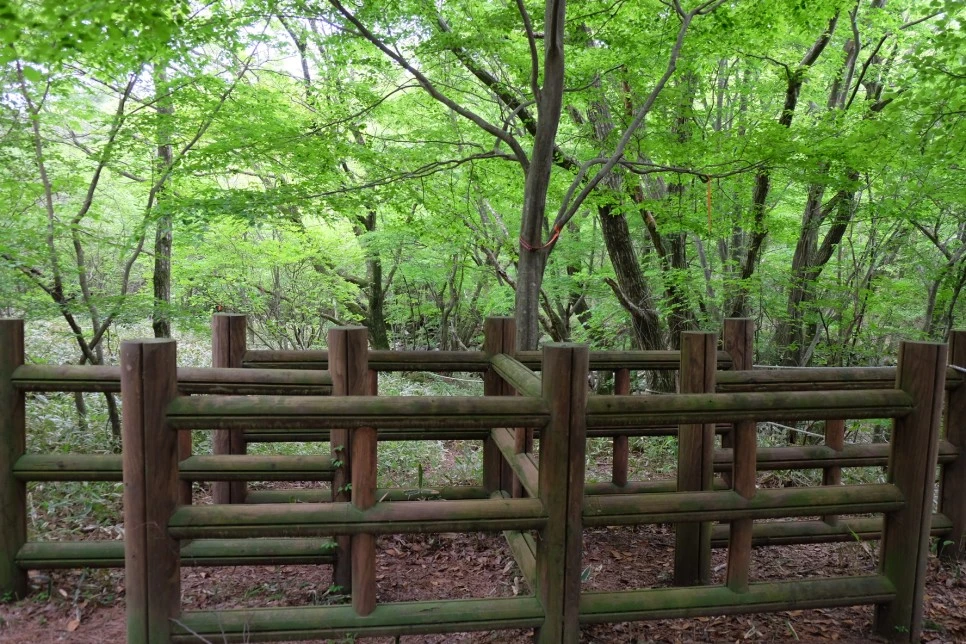 %EC%84%B8%EB%AF%B8%EC%96%91_%EC%98%A4%EB%A6%84_%EA%B4%80%EC%9D%8C%EC%82%AC_%EA%B0%80%EB%8A%94%EA%B8%B8_%EC%A1%B0%EB%A6%BF%EB%8C%80.JPG?type=w966