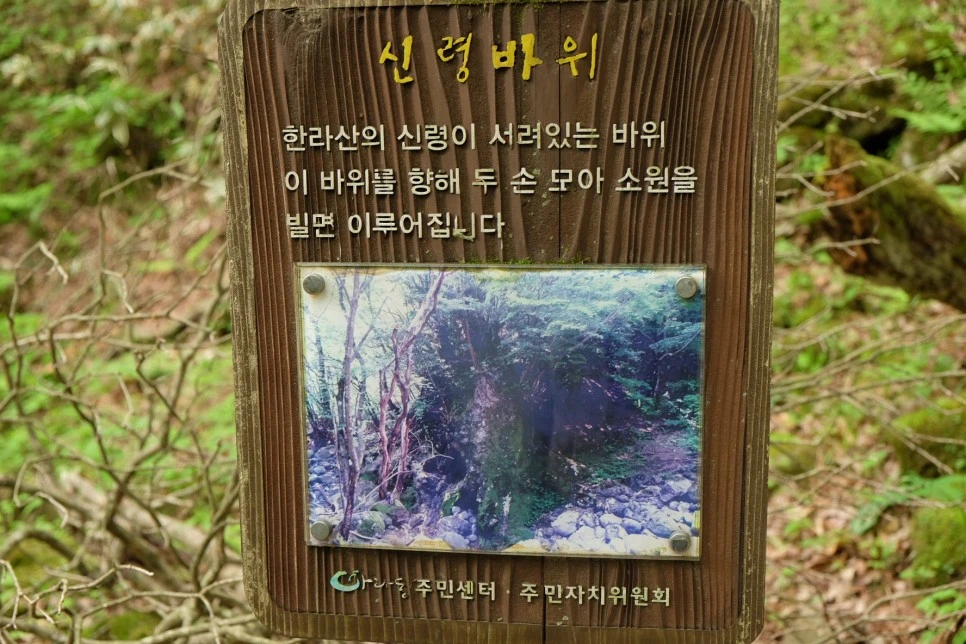 %EC%84%B8%EB%AF%B8%EC%96%91_%EC%98%A4%EB%A6%84_%EC%8B%A0%EB%A0%B9%EB%B0%94%EC%9C%84_%EC%9C%A0%EB%9E%98.JPG?type=w966