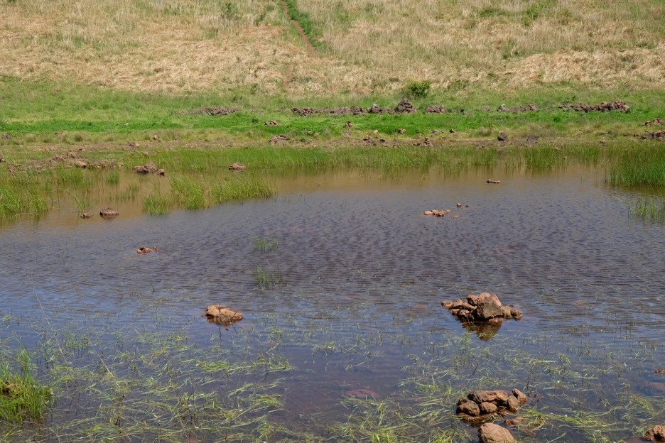 BD5A2134-12CA-46C1-A46B-BE5796B1DC77-13156-0000023575FAEE5F.JPG?type=w1