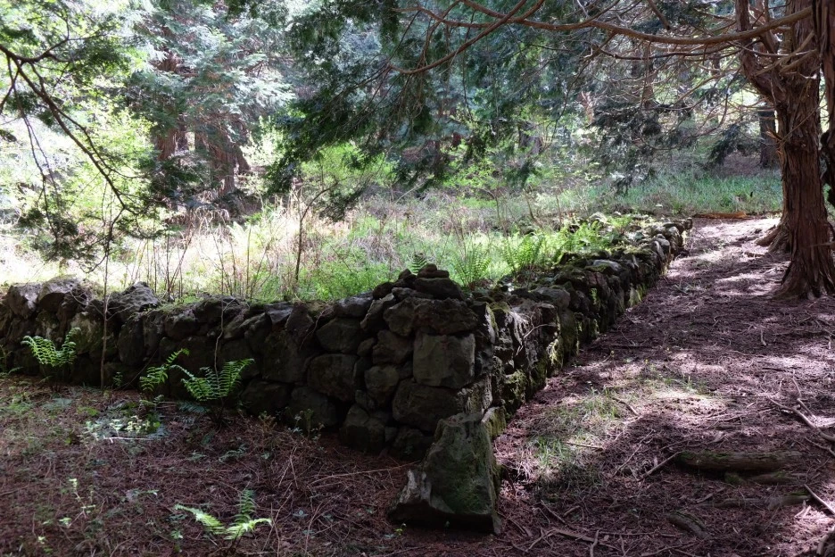 64309505-9445-484E-9160-52757F0DC53D-727-000021F0EDAAAEE1.JPG?type=w1